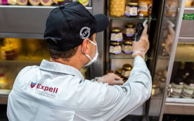 Como a dedetização pode evitar prejuízos em empresas: saiba como agir antes da infestação