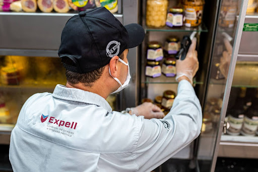 Como a dedetização pode evitar prejuízos em empresas: saiba como agir antes da infestação